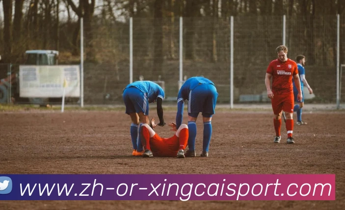 App Interface Preview