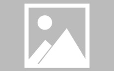 杏彩体育-世俱杯球员市场价值排行榜