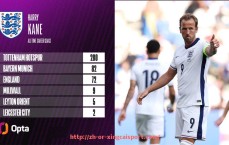 杏彩体育-球衣主色为绿色的德甲球队名单大全